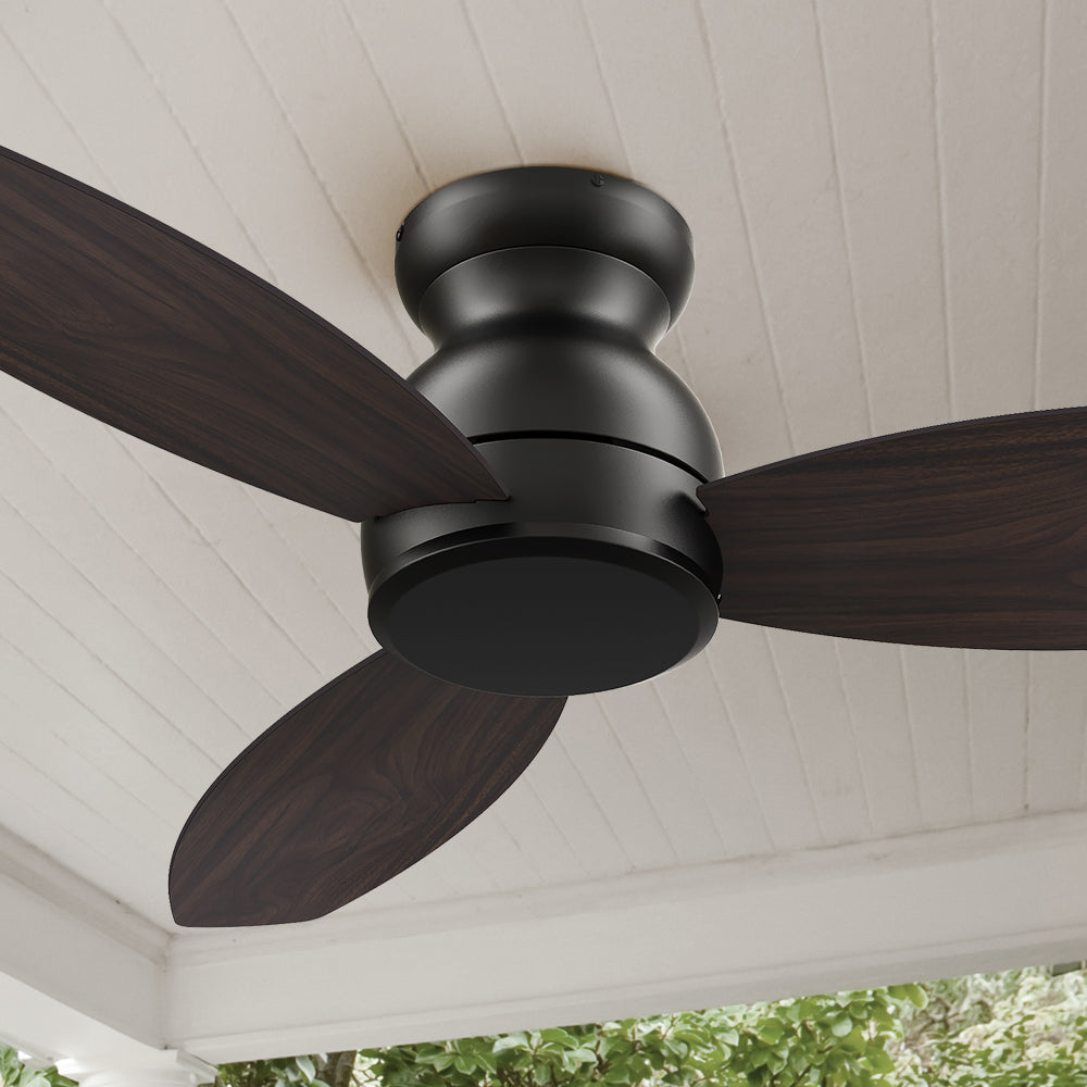 Carro Osborn 48 inch ceiling fan designed with Black finish, use elegant Plywood blades. The fan features remote control. 