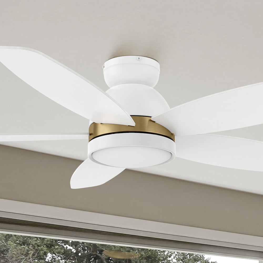 Carro Povjeta 48 inch ceiling fan with sleek Black finish, elegant Plywood blades, and integrated 4000K LED cool light. #color_white-gold