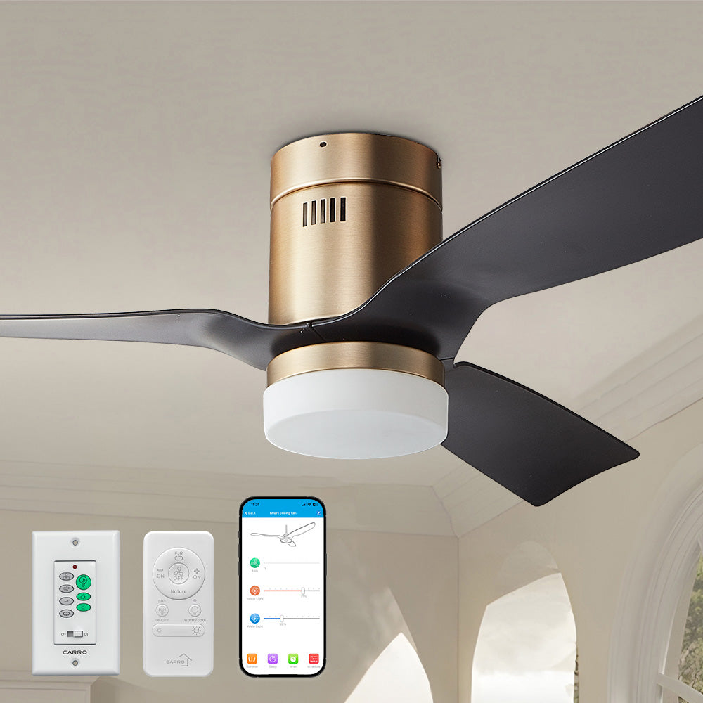 Carro Striver 48 inch outdoor ceiling fan with black and gold design, flush mounted in a smart home. 