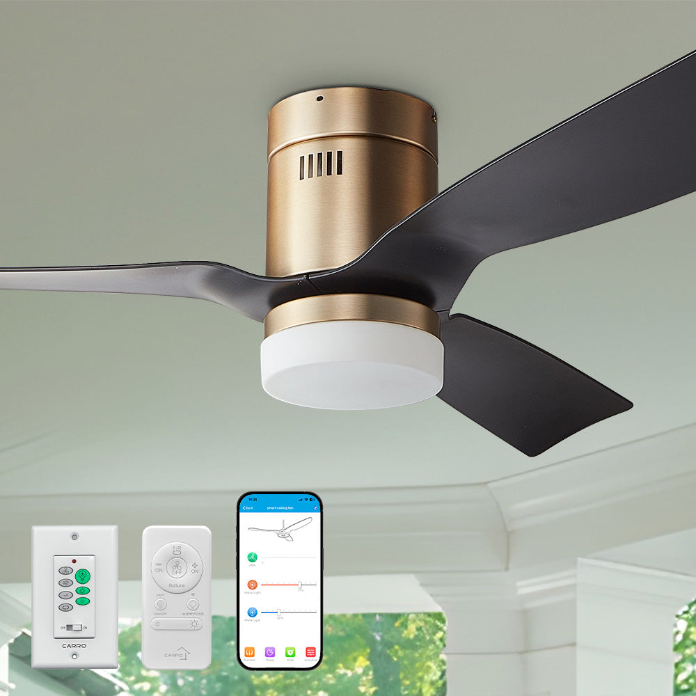 Carro Striver 52 inch outdoor smart ceiling fan with light, remote, and wall switch, flush mounted in patio. 