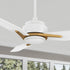 Carro Tilbury 52 inch smart outdoor ceiling fan with white and gold finish, use elegant plywood blades and integrated 4000K LED cool light. 