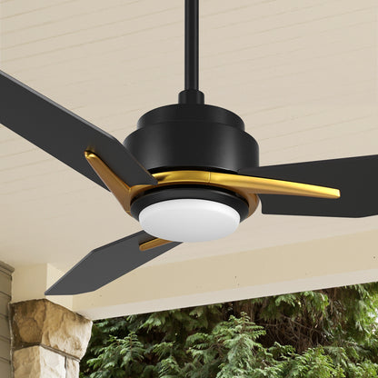 Carro Tilbury 56 inch smart outdoor ceiling fan with black and gold finish, use elegant plywood blades and integrated 4000K LED cool light. 