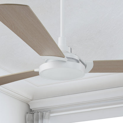 Carro Viter smart ceiling fan with light designed with light wood finish, elegant Plywood blades, Glass shade and integrated 4000K LED daylight. 
