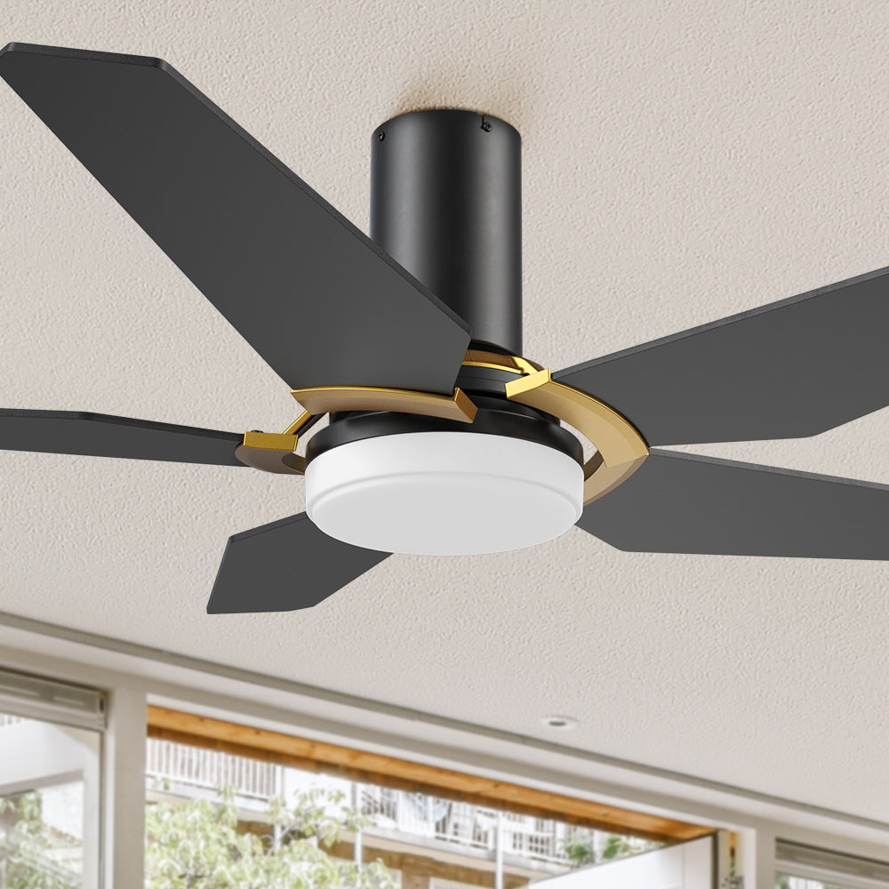 Carro Voyager 48 inch smart ceiling fan designed with Black finish, elegant Plywood blades, Glass shade and integrated 4000K LED cool light.#color_Black&Gold