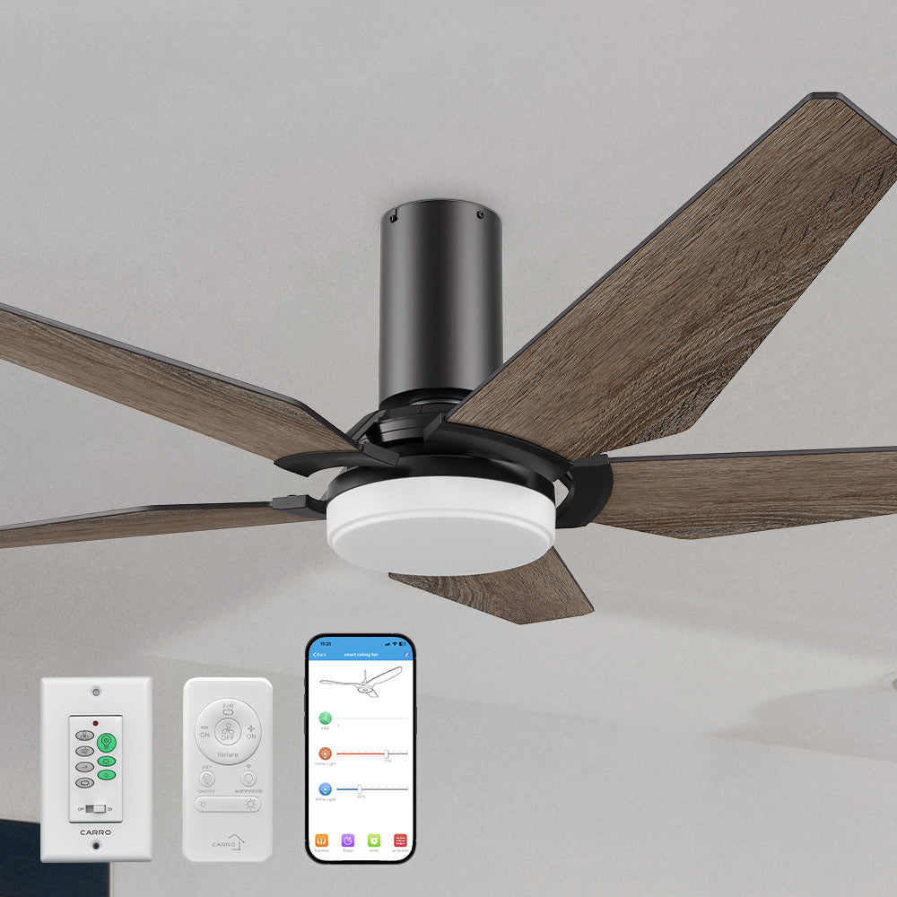 Carro Voyager 52 inch smart ceiling fan designed with wall switch, remote, wood finish, elegant Plywood blades, Glass shade and integrated 4000K LED cool light. 