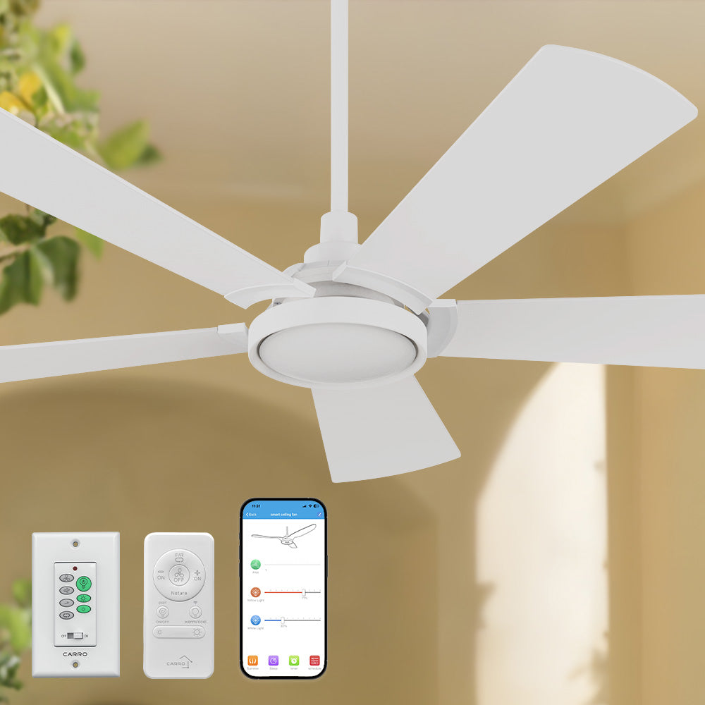 Smafan Wilkes 52 inch smart ceiling fan with light and wall switch, designed with pure white finish, elegant plywood blades, glass shade and integrated 4000K LED daylight. 
