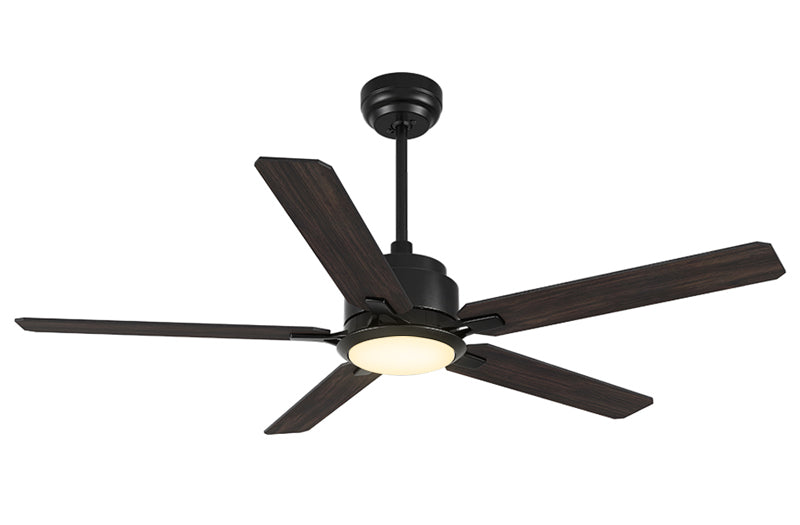 Five blades 52 inch ceiling fan with top dimmable bright light