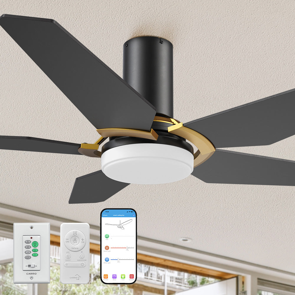 Carro Voyager2 48 inch smart ceiling fan designed with Black and golg finish, elegant Plywood blades, Glass shade and integrated 4000K LED cool light. 