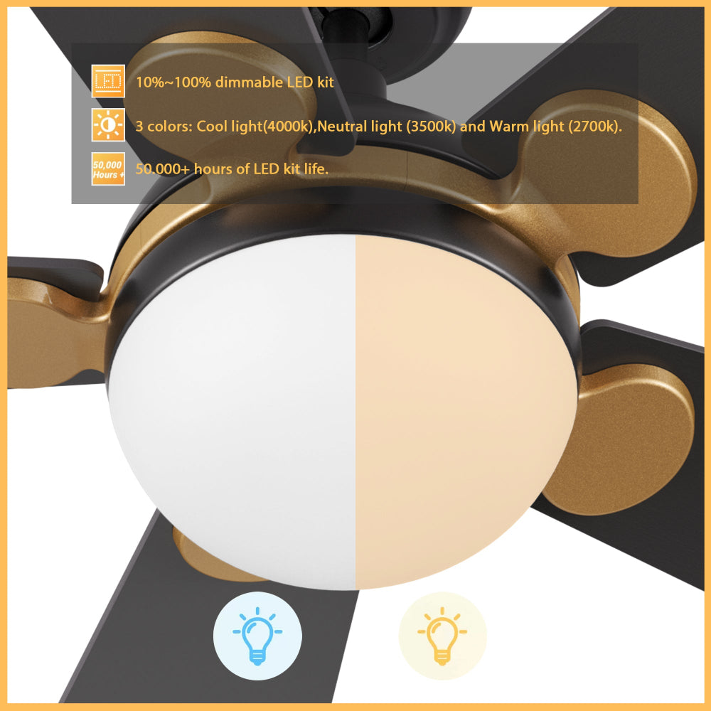 A close-up of a black and gold ceiling fan with an integrated LED light kit. The light kit is shown split, with one half emitting cool white light and the other half warm yellow light, illustrating its color temperature options.  