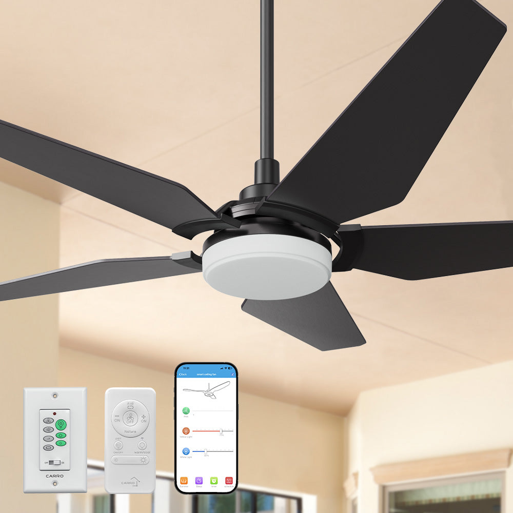 Smafan Voyager 52 inch outdoor smart ceiling fan in black designs with remote and wall control, elegant plywood blades, glass shade and has an integrated 4000K LED daylight. 