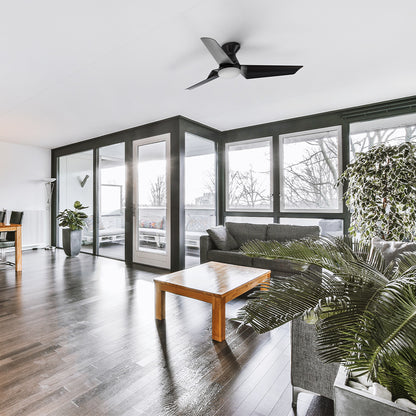 Black three-blade ceiling fan with light in a modern open-plan living room with dark wood floors and indoor plants. 