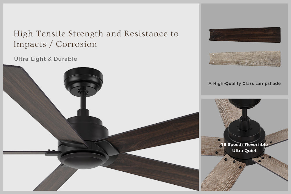 Ceiling fan with high-quality class lampshade is more durable. And the 10 speed reversible motor makes ceiling fan run ultra quietly. 