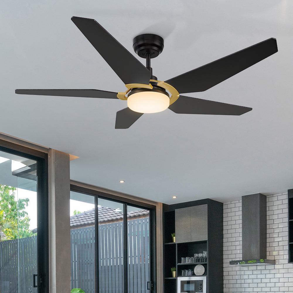 Smart Ceiling fan with bright light is suitable for decorating house