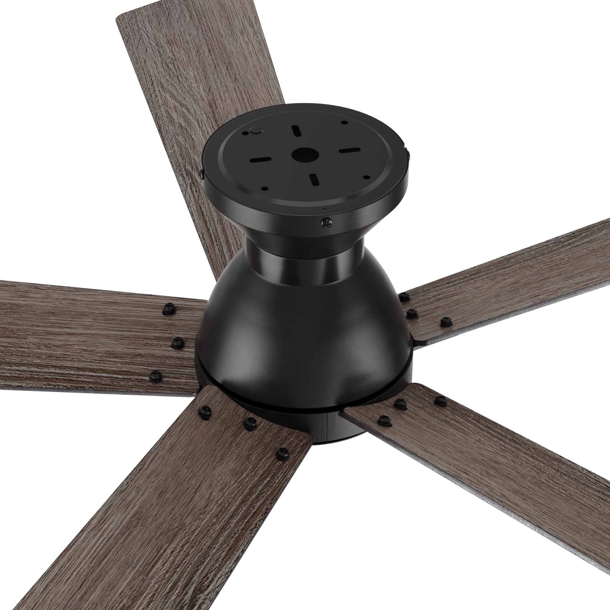 vetric-52-inch-ceiling-fan-with-remote-contorl-specification #color_Black