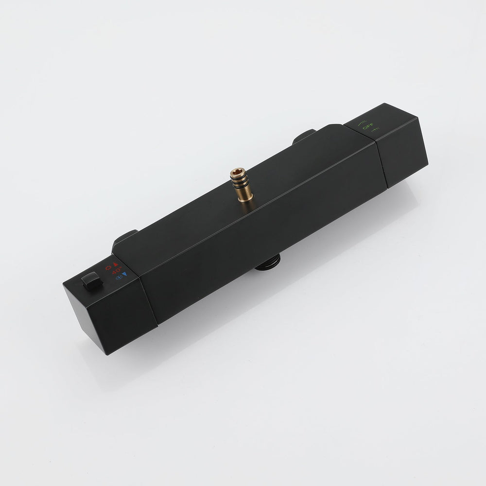 Amexty Exposed 2 Function Rainfall Shower Set with Handshower in Matte Black