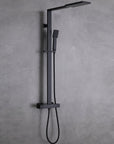 Amexty Exposed 2 Function Rainfall Shower Set with Handshower in Matte Black