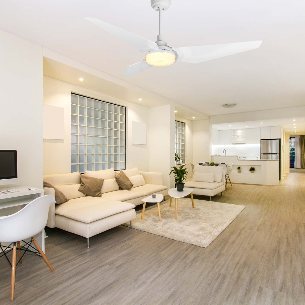 The Smafan Trailblazer 52&