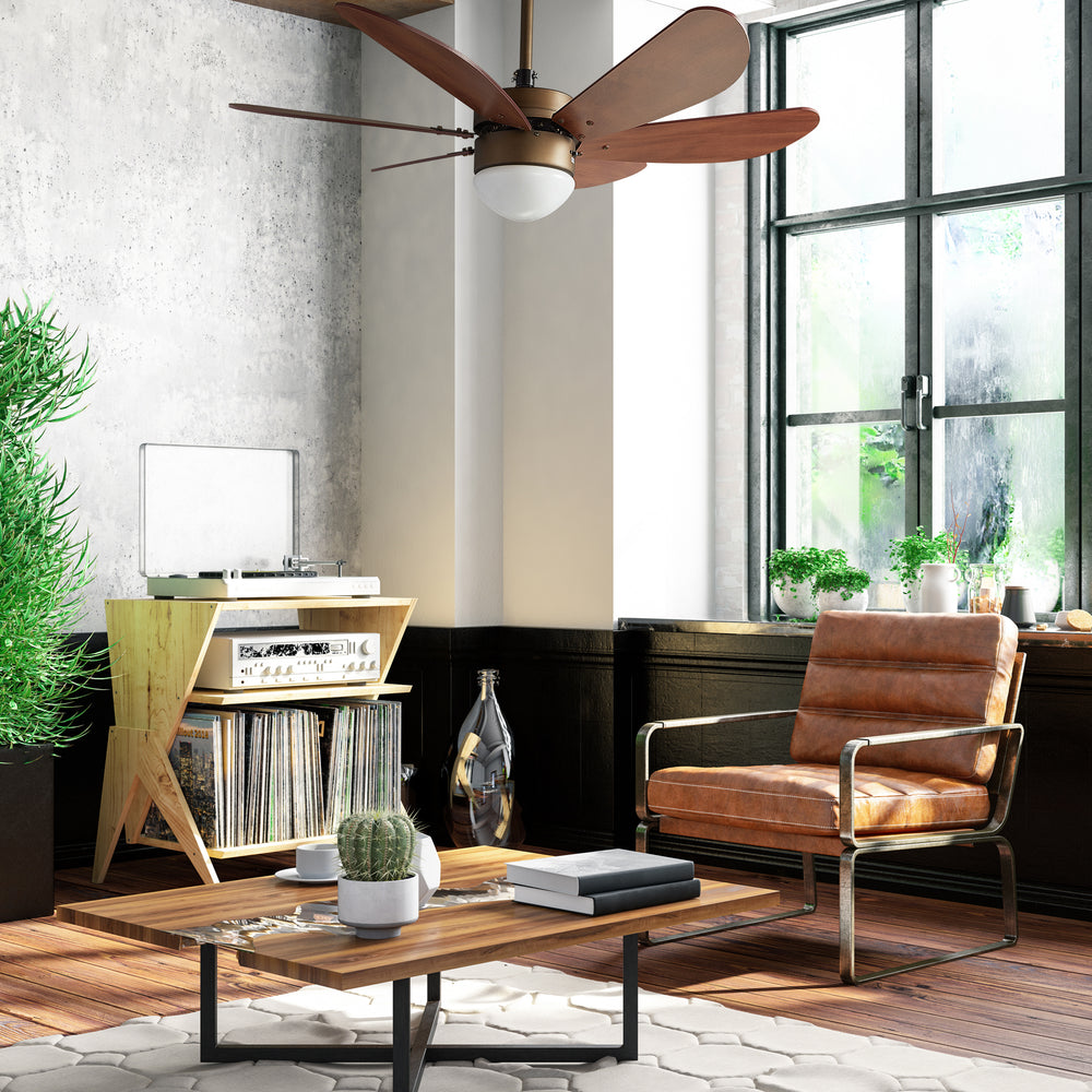The Smafan Minimus 38&