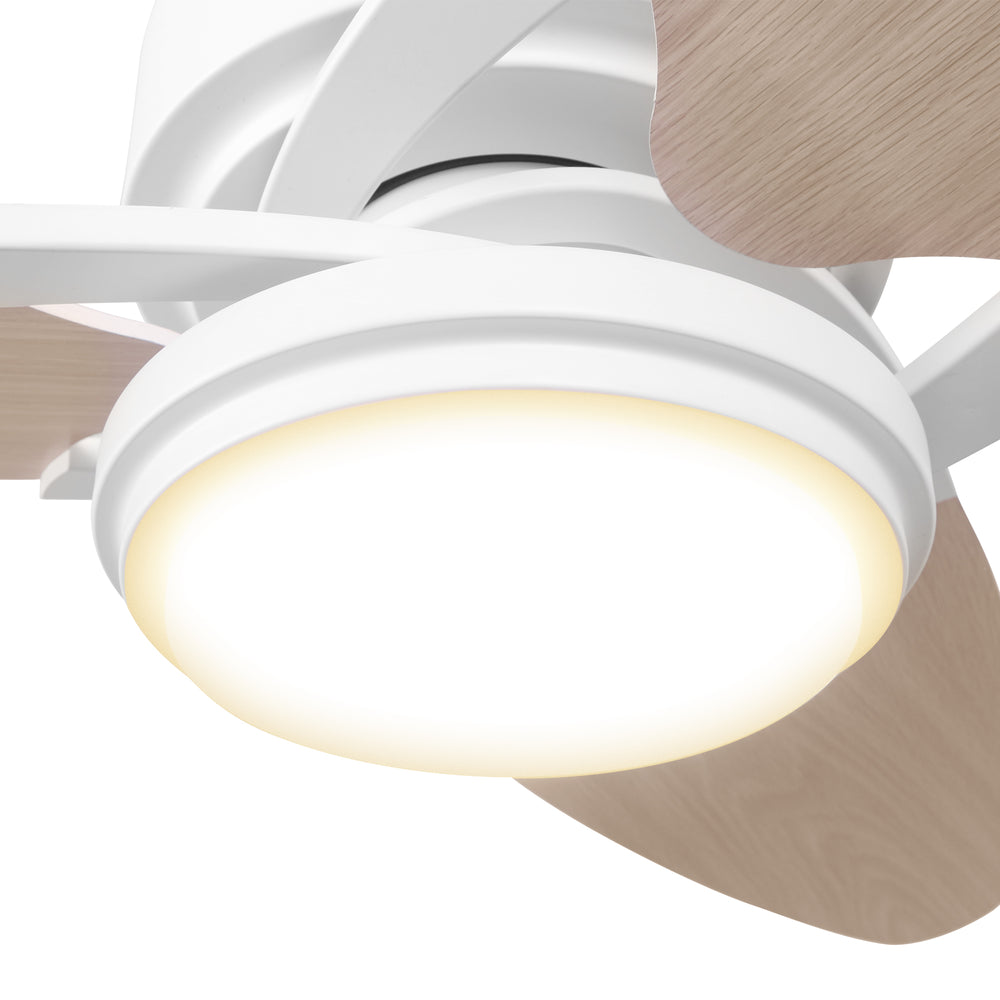 The Maxwell 52” ceiling fan has arrived to make all other traditional ceiling fans obsolete. The fan features a stylish exterior to add a touch of grace to your indoor home and an advanced interior to deliver optimal cooling and lighting. 