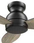 This Osborn48''ceiling fan keeps your space cool and stylish. It is a soft modern masterpiece perfect for your indoor living spaces. This ceiling fan is a simplicity designing with Black finish, use elegant Plywood blades. The fan features remote control.