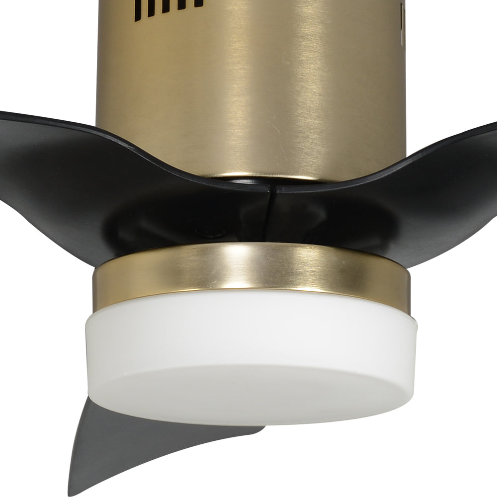 This Smafan Striver 48'' smart ceiling fan features with Remote control, Wi-Fi apps Amazon Alexa and Google Assistant.It is modern,elegant and energy efficient.Perfect for your both indoor and outdoor spaces. #color_black-gold