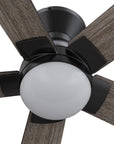 This Aspen 52'' flush mount smart ceiling fan keeps your space cool, bright, and stylish. It is a soft modern masterpiece perfect for your large indoor living spaces. This Wifi smart ceiling fan is a simplicity designing with Black finish, use elegant Plywood blades and has an integrated 4000K LED daylight. 