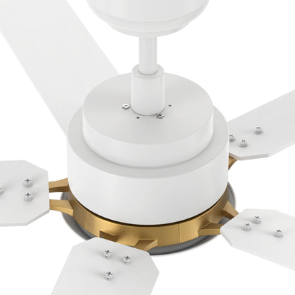 This Kyra 60&quot; ceiling fan keeps your space cool, bright, and stylish. It is a soft modern masterpiece perfect for your large indoor living spaces. This ceiling fan is a simplicity designing with Black finish, use elegant Plywood blades and has an integrated 4000K LED cool light. The fan features Remote control to set fan preferences. 