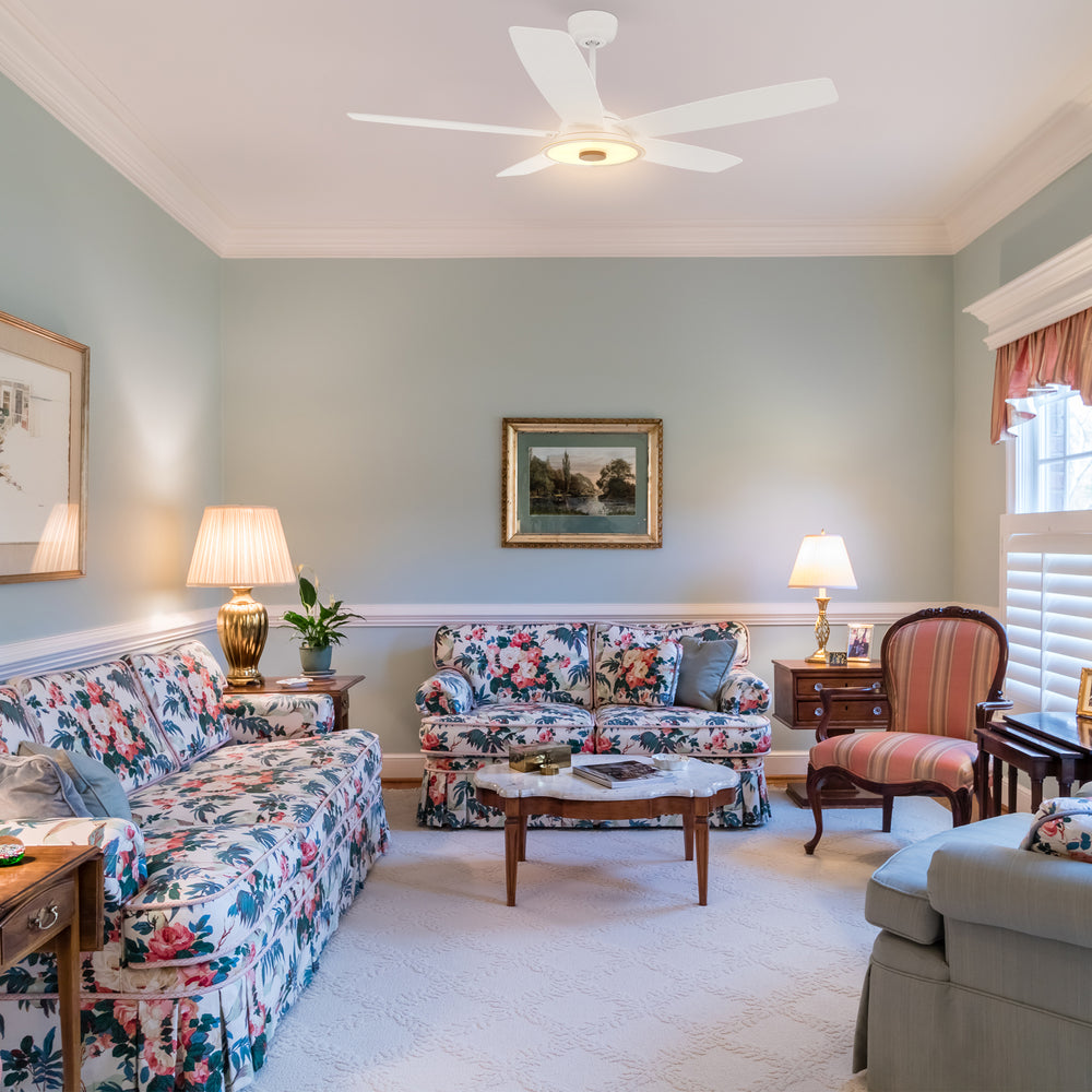 The Smafan Striker 52&