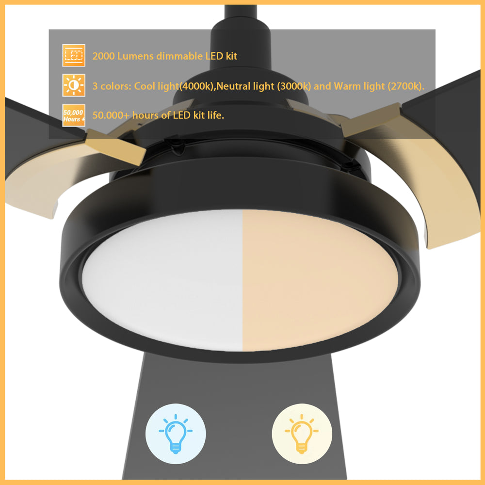 This Smafan Veter 56&