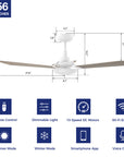 This Smafan Veter 56'' smart ceiling fan keeps your space cool, bright, and stylish. It is a soft modern masterpiece perfect for your large indoor living spaces. This Wifi smart ceiling fan is a simplicity designing with White finish, use elegant Plywood blades, Glass shade and has an integrated 4000K LED daylight. The fan features Remote control, Wi-Fi apps, Siri Shortcut and Voice control technology (compatible with Amazon Alexa and Google Home Assistant ) to set fan preferences.