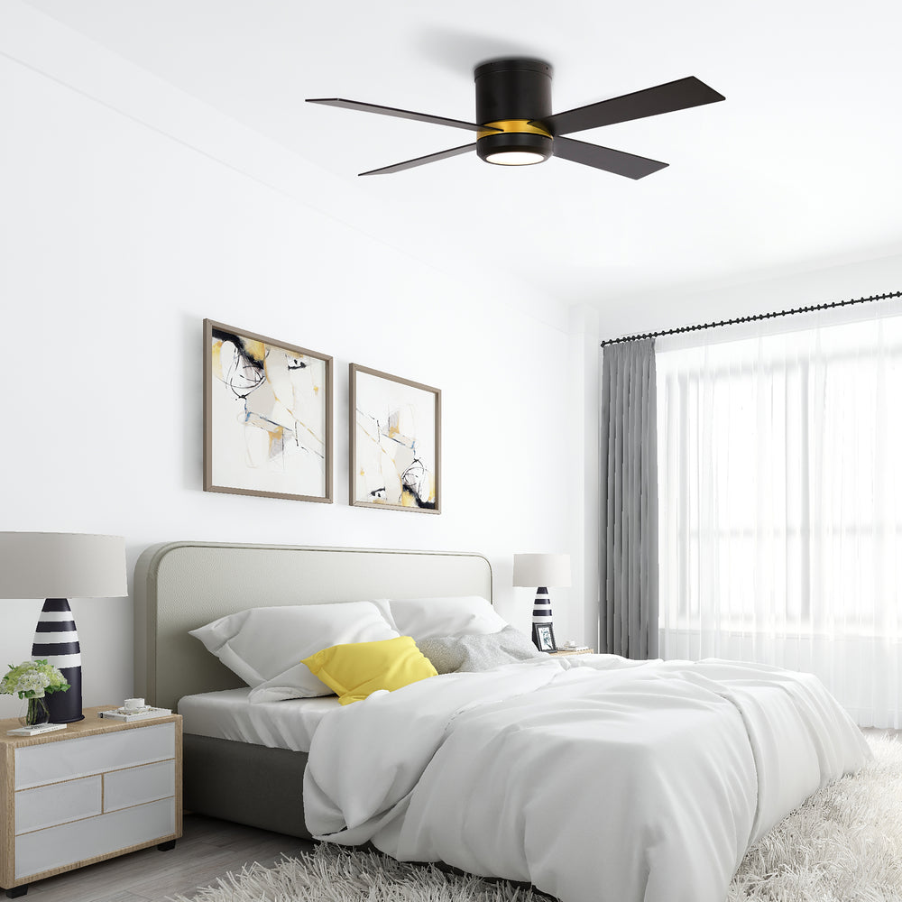 The Smafan Arlo 52&