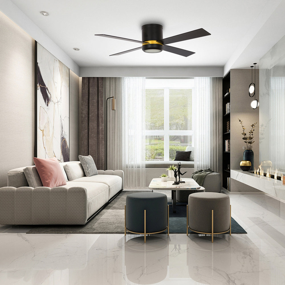 The Smafan Arlo 52&