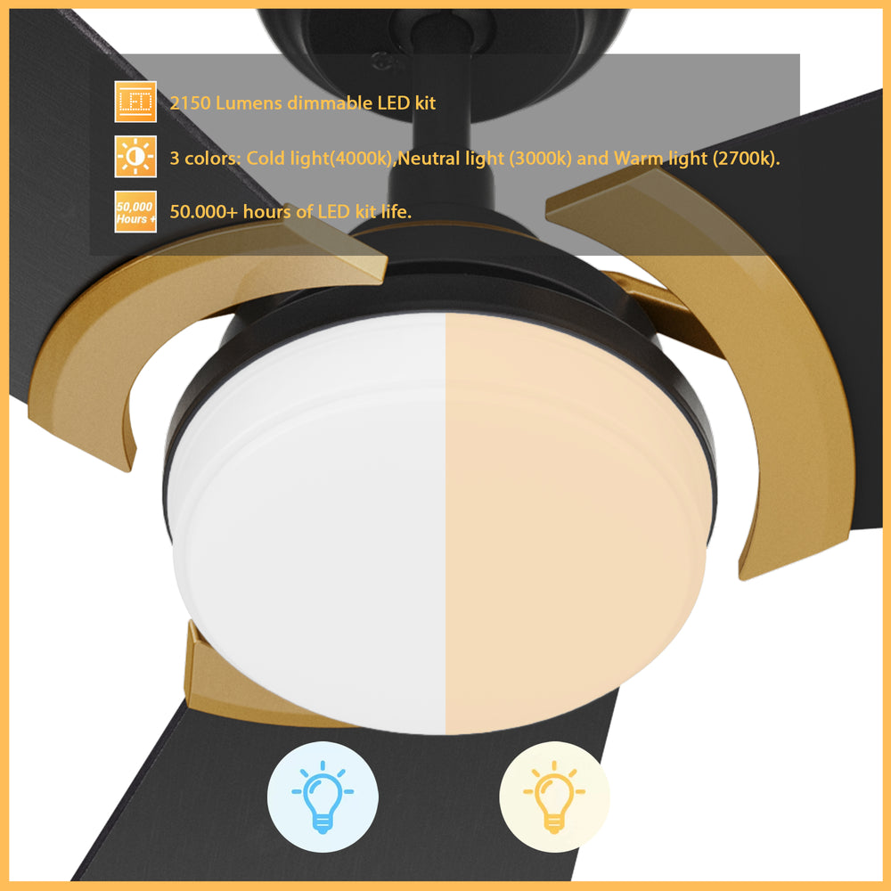 The Smafan Trailblazer 52&