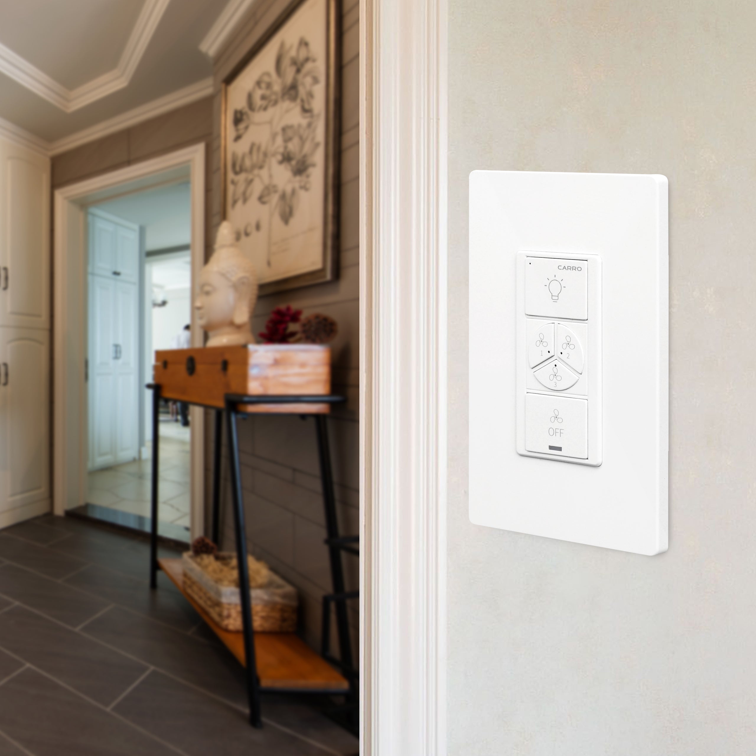 Carro Home Smart Switch for ceiling fans_1 Gang