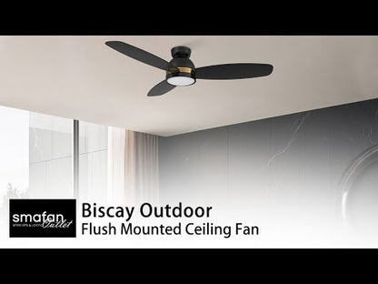 Biscay Smart Ceiling Fan with LED Light and Remote Outdoor/Indoor 48&quot;