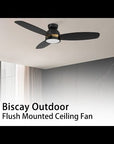 Biscay 48 inch Smart Alexa Ceiling Fan with LED Light