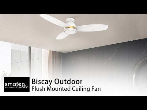 This Biscay 52'' smart outdoor ceiling fan with lights keeps your space cool, bright, and stylish. It is a soft modern masterpiece perfect for your large indoor and patio living spaces. This Wifi smart ceiling fan is a simplicity designing with black or white finish, use elegant Plywood blades and has an integrated 4000K LED daylight. The fan features Remote control, Wi-Fi apps, Siri Shortcut and Voice control technology (compatible with Amazon Alexa and Google Home Assistant ) to set fan preferences.