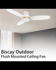 This Biscay 52'' smart outdoor ceiling fan with lights keeps your space cool, bright, and stylish. It is a soft modern masterpiece perfect for your large indoor and patio living spaces. This Wifi smart ceiling fan is a simplicity designing with black or white finish, use elegant Plywood blades and has an integrated 4000K LED daylight. The fan features Remote control, Wi-Fi apps, Siri Shortcut and Voice control technology (compatible with Amazon Alexa and Google Home Assistant ) to set fan preferences.