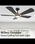 This Smafan Wilkes 56'' smart ceiling fan keeps your space cool, bright, and stylish. It is a soft modern masterpiece perfect for your large indoor living spaces. This Wifi smart ceiling fan is a simplicity designing with Black finish, use elegant Plywood blades, Glass shade and has an integrated 4000K LED daylight.