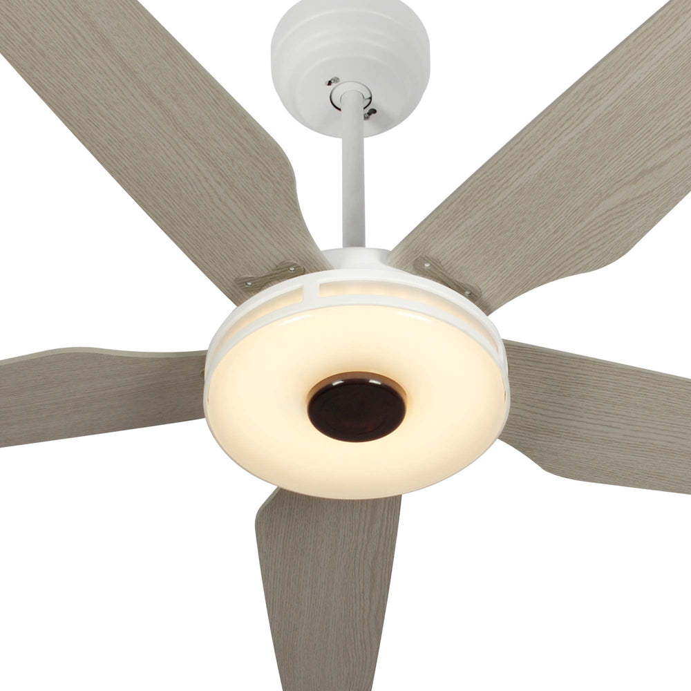 Explorer Outdoor 52" Smart Ceiling Fan with LED Light Kit in dinning room,kitchen,bedroom and living room. 